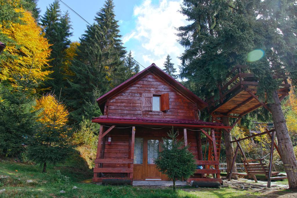 Mountain Apartments Superski Cavnic Oda fotoğraf